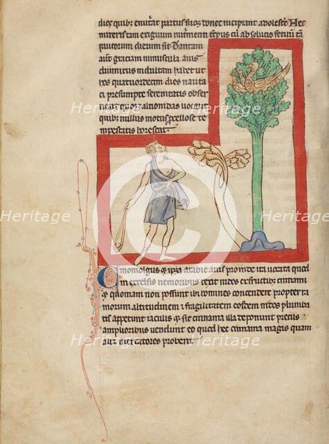 A Cinomolgus; Northumberland Bestiary, about 1250-1260. Creator: Unknown.