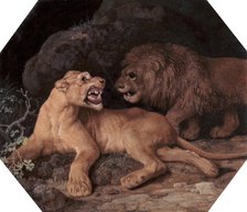 Lion and Lioness, 1770. Creator: George Stubbs.