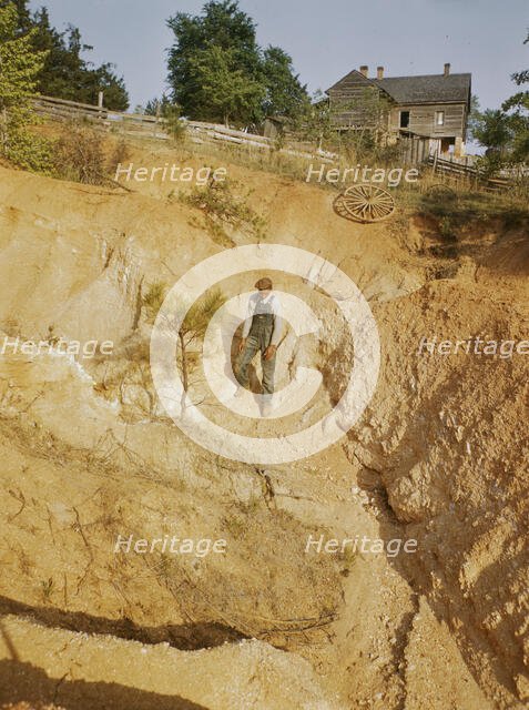 Greene Co. Ga., eroded farm land, 1941. Creator: Jack Delano.