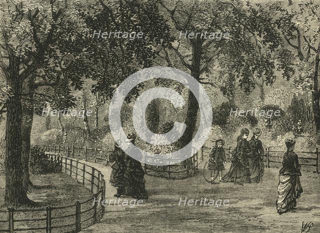 'The Flower Walks, Kensington Gardens', c1876. Creator: Unknown.