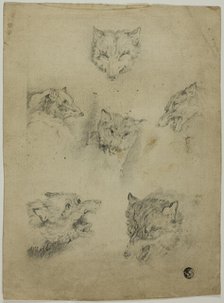 Six Sketches of Wolf Heads, n.d. Creator: Unknown.