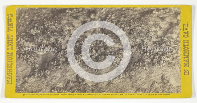 Rosa's Bower, 1866. Creator: Charles Waldack.