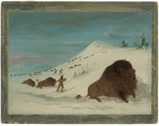 Buffalo Lancing in the Snow Drifts - Sioux, 1861/1869. Creator: George Catlin.