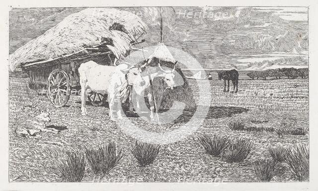 Oxen Yoked to the Cart (Maremma) [Bovi al carro (Maremma)], 1886/1887. Creator: Giovanni Fattori.