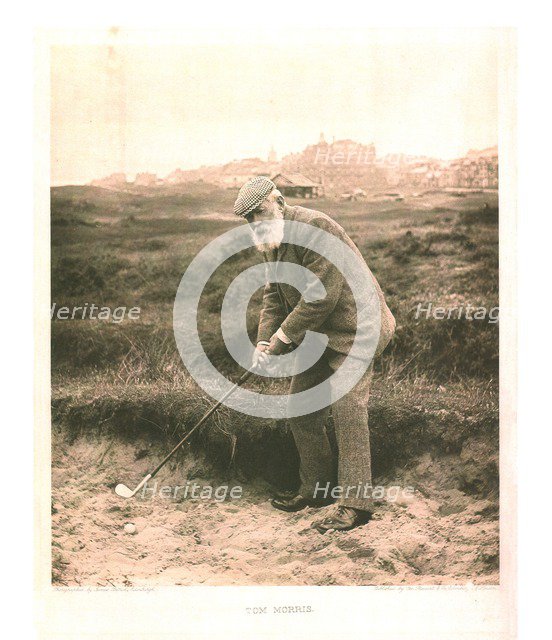 'Tom Morris', c1905.  Artist: James Patrick.