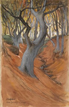 Beech Forest, 1901. Creator: Albert Edelfelt.