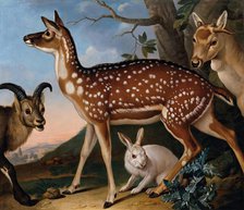 Fallow deer, ibex and hare, 1723. Creator: Philipp Ferdinand de Hamilton.