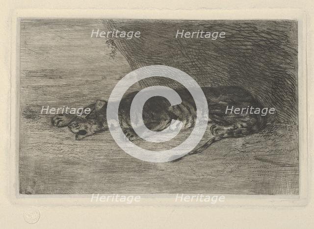Tiger Lying at the Entrance of its Lair, ca. 1828-30., ca. 1828-30. Creator: Eugene Delacroix.