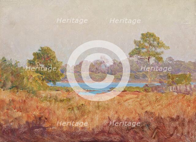 Field Study, Florida, date unknown, c1870-1920. Creator: John Ottis Adams.