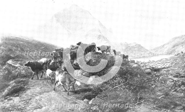 Pictures from the Royal Academy: A Summer Afternoon - T. S. Cooper, R.A., 1895. Creator: George Meisenbach.