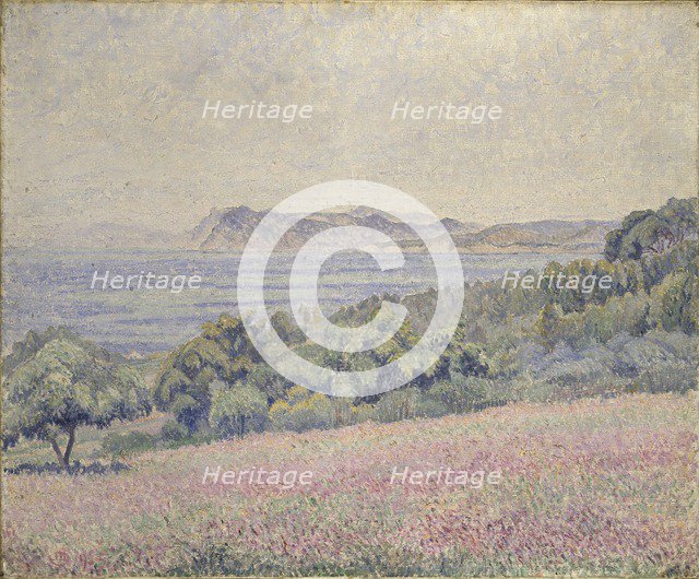 Thistles, Le Brusq, 1925. Artist: Lucien Pissarro.