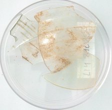 Glass Fragments, Coptic, 4th-early 5th century. Creator: Unknown.