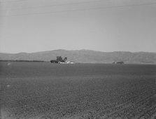 Large-scale agriculture (peas) and old style California ranch house, near King City, CA , 1939. Creator: Dorothea Lange.