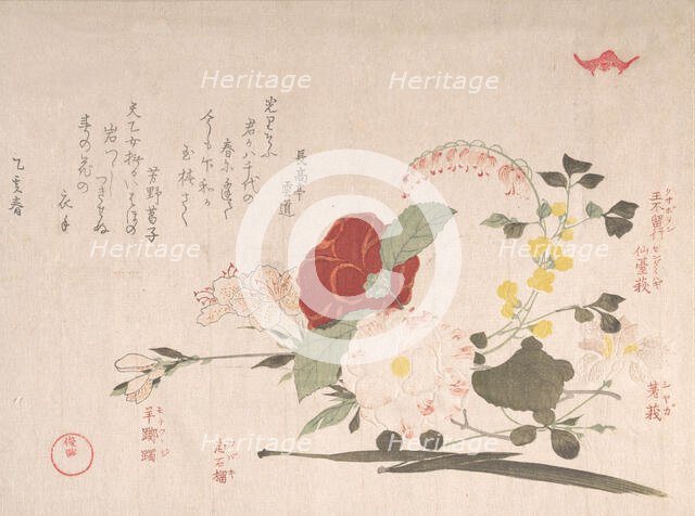 Spring Rain Collection (Harusame shu), vol. 2: Cut Flowers: Clematis, Bus..., 1815 (Year of the Ox). Creator: Kubo Shunman.