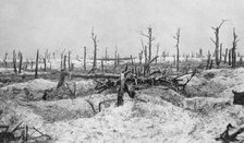 Blasted tree stumps, Mesnil, Champagne, France, World War I, 1915. Artist: Unknown