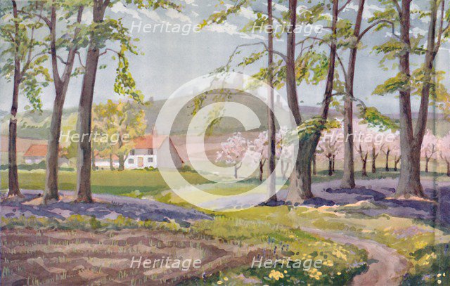 'Spring - The Physical, Chemical and Biological Changes Wrought By The Sun During The Year', 1935.. Artist: Unknown.