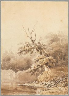 Landscape, 1836. Creator: Théodore Rousseau (French, 1812-1867).