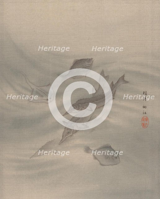 Fishes, ca. 1890-92. Creator: Seki Shuko.