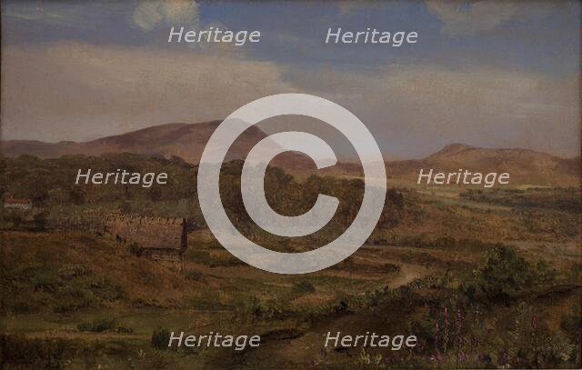 Landscape near Blokhus, Jutland, 1848. Creator: Martinus Rorbye.