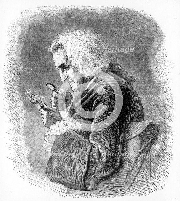 Bernard de Jussieu, 18th century French botanist, 1880. Artist: Unknown