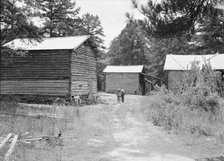 Tobacco barns on the Stone place, Upchurch, North Carolina, 1939. Creator: Dorothea Lange.