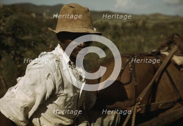FSA - Tenant Purchase borrower? by his field, Puerto Rico, 1941 or 1942. Creator: Jack Delano.