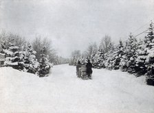 Horse-drawn sleigh, Sweden, c1910. Artist: Unknown