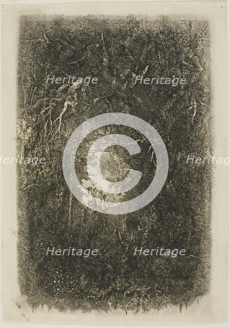 Clearing in the Forest, 1880. Creator: Rodolphe Bresdin.