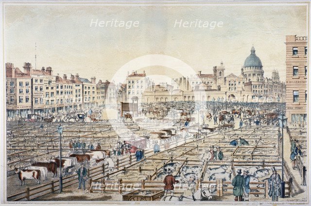 Smithfield Market, City of London, 1855.                                                Artist: Anon