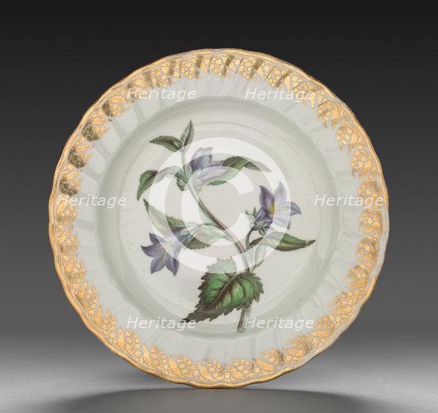 Plate from Dessert Service: Nettle Leaved Bell Flower, c. 1800. Creator: Derby (Crown Derby Period) (British).