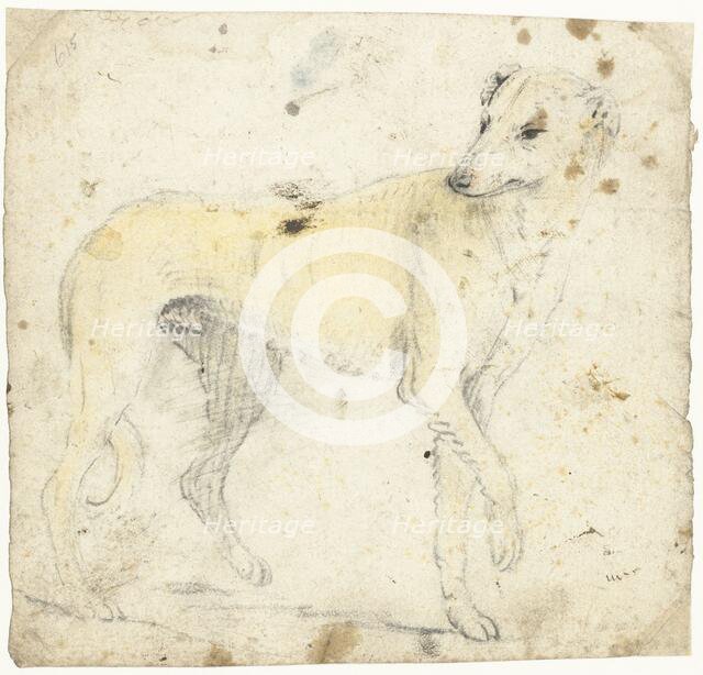 Study of a running dog, c.1626-before 1662. Creator: Gerard ter Borch I.