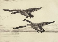 Two Black Geese, 1931. Creator: Frank Weston Benson.