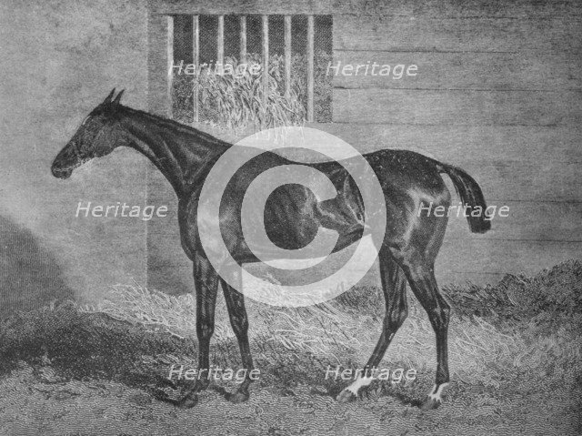 'Gulnare', 19th century, (1911). Artist: Unknown.