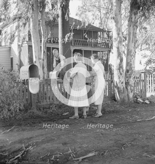 Morning mail at the Mineral King cooperative farm, FSA, Tulare County, California, 1938. Creator: Dorothea Lange.