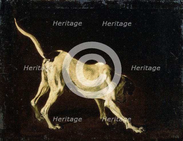 'A Dog', 17th century. Artist: Frans Snyders