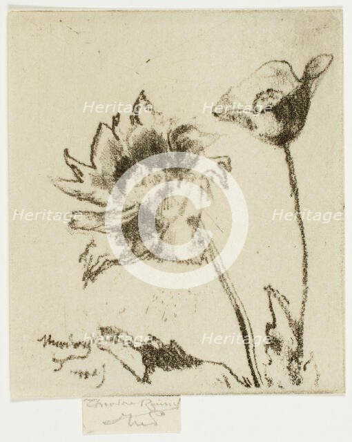 Two Flowers, 1890-95. Creator: Theodore Roussel.