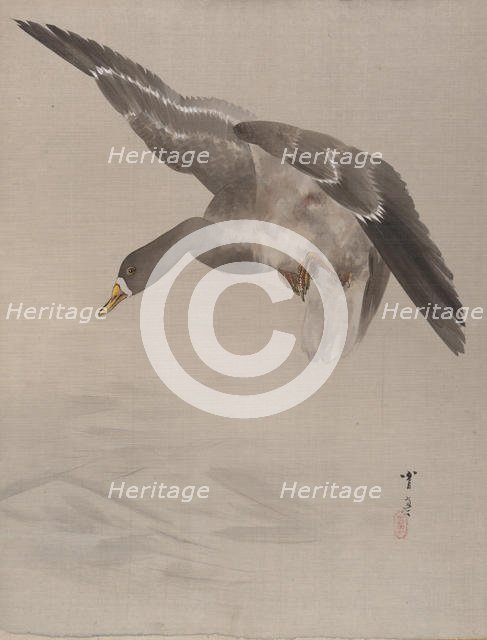 Duck, ca. 1887. Creator: Watanabe Seitei.