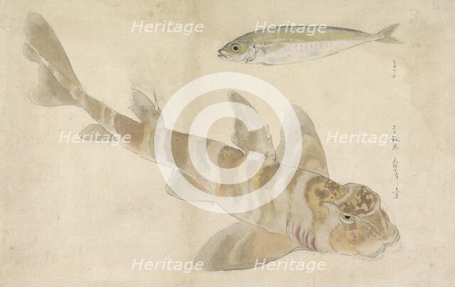 Two fish: gurnard and herring, 1836. Creator: Ishikawa Kazan.
