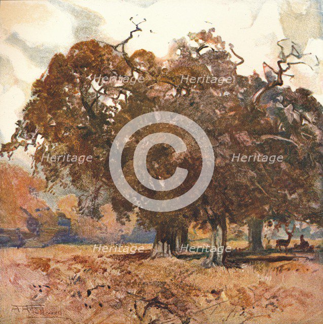 'Landscape', c1904. Artist: Albert Henry Fullwood.