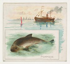 Porpoise, from Fish from American Waters series (N39) for Allen & Ginter Cigarettes, 1889. Creator: Allen & Ginter.