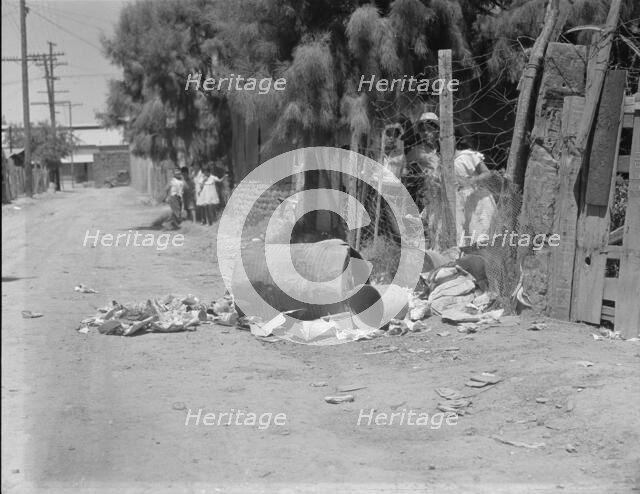 Garbage disposal, Brawley, Imperial Valley, California, 1935. Creator: Dorothea Lange.