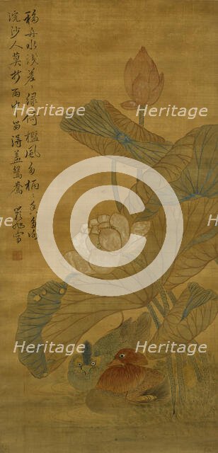 Lotus and ducks, Qing Dynasty (1645 - 1911). Creator: Watanabe Shiko.