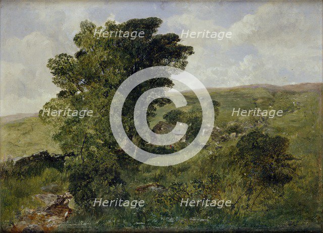 View of Nantlle, Caernarvonshire, 1855. Artist: Alfred William Hunt.