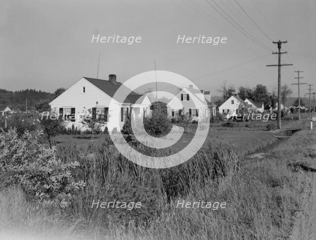 Possibly: Down one street on Longview homestead project, Longview, Cowlitz County, Washington, 1939. Creator: Dorothea Lange.