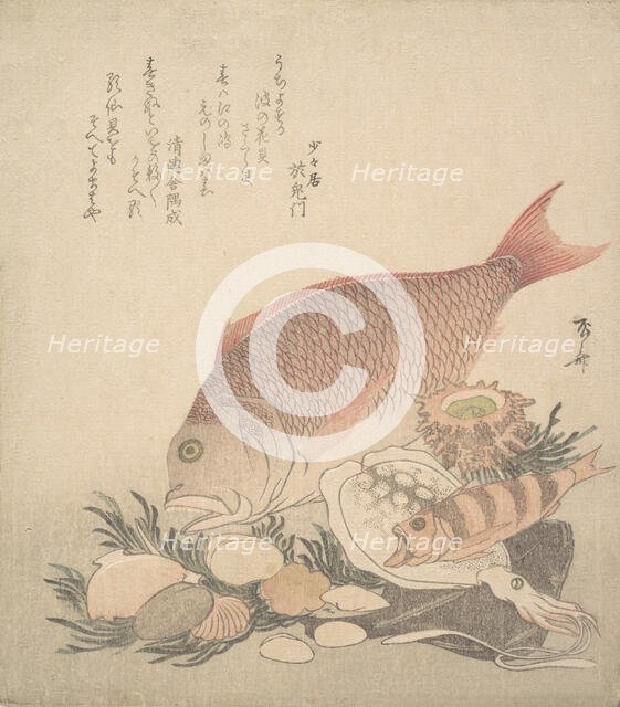 Large and Small Fish Swimming Among Shells and Moss at the Bottom of the Sea, ca. 1830., ca. 1830. Creator: Shinsai.