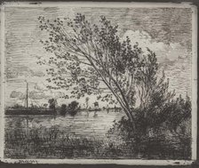 A Cluster of Alders, original impression 1862, printed in 1921. Creator: Charles François Daubigny (French, 1817-1878).