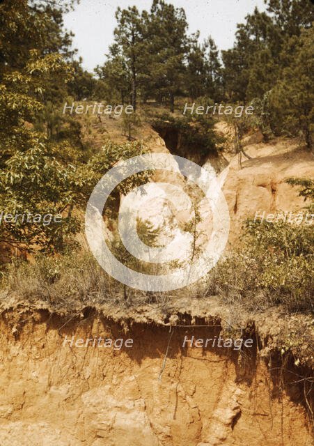 Eroded land, between 1941 and 1942. Creator: Unknown.