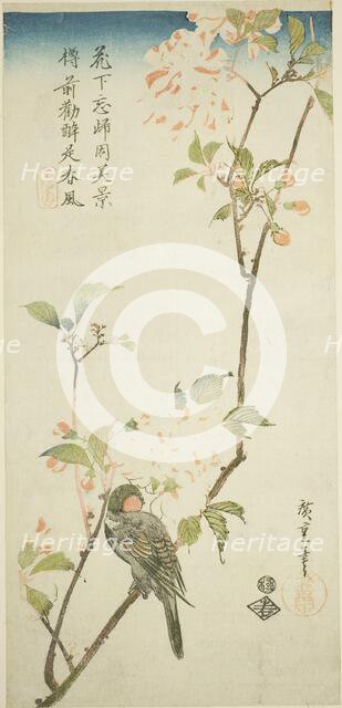 Bullfinch on aronia branch, 1830s. Creator: Ando Hiroshige.