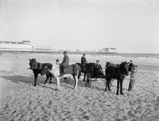 Ponies on the beach, Atlantic City, N.J., between 1900 and 1906. Creator: Unknown.