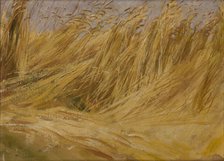 Corn Field (Study), 1901. Creator: Wlodzimierz Tetmajer.